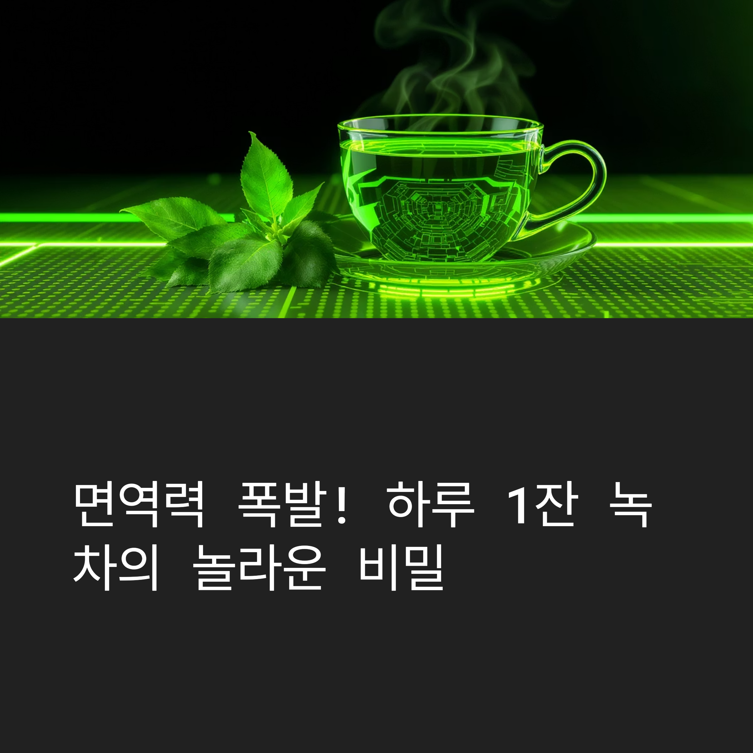 면역력 폭발! 하루 1잔 녹차의 놀라운 힘
