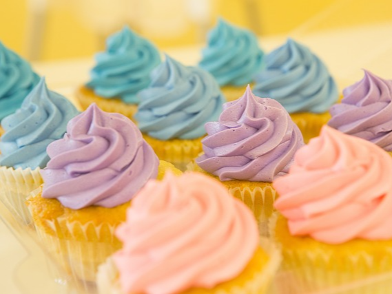 설탕 대체 식품