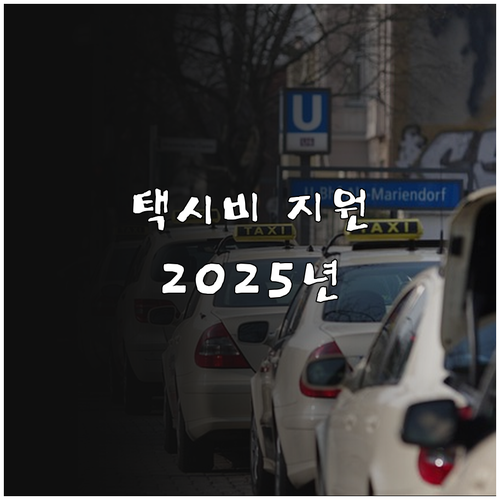 2025년 경기도 택시 카드 결제 수..