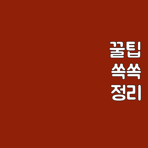 2025 홀몸 어르신 복지 구로구 음..
