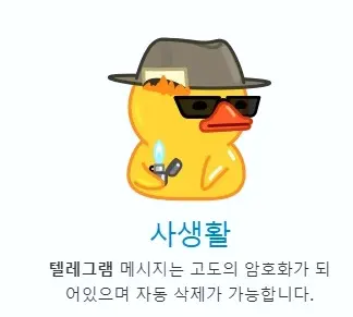 텔레그램 사용법