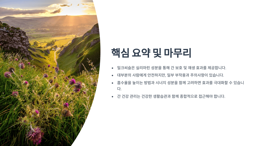 핵심 요약 및 마무리