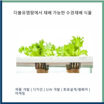 수경재배 준비 병선택 뿌리관리 액비투여 물갈이주기 가이드_7