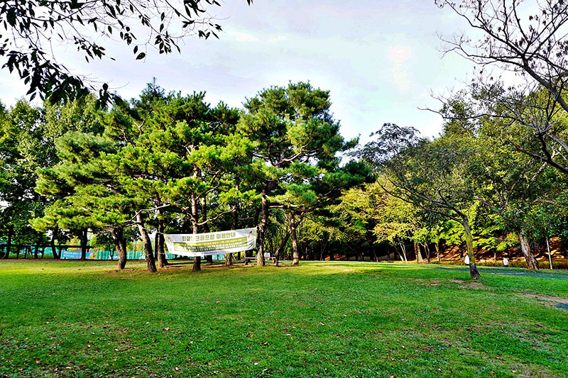 경기도 고양시 화정파크골프장 (화정 은빛공원 파크골프장)