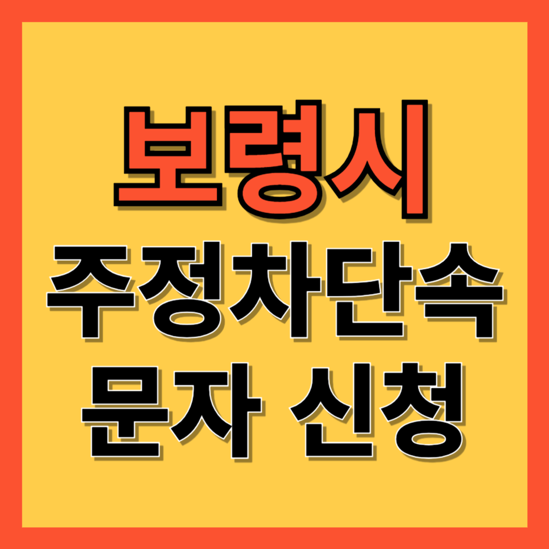 보령시 주정차 단속 알림 서비스 신청 방법 ❘ 불법주차 문자알림서비스