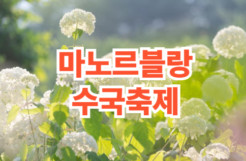 마노르블랑 수국축제