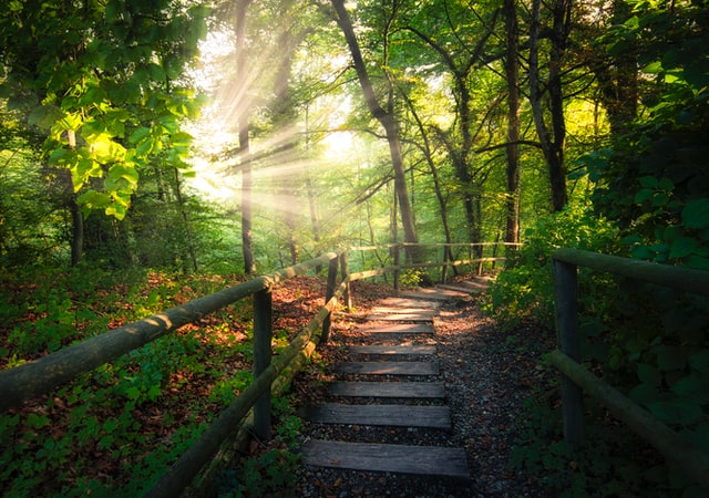 햇빛 알레르기 원인 증상 예방 치료 알아보기