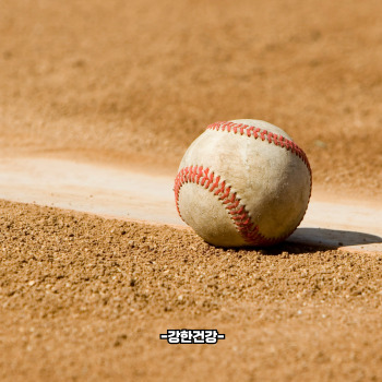 전직 야구선수 아내 폭행