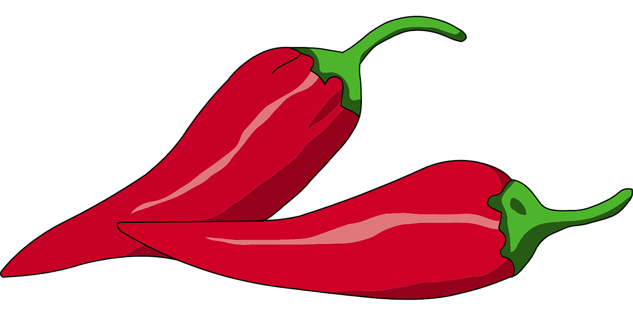 면역력 높이는 방법