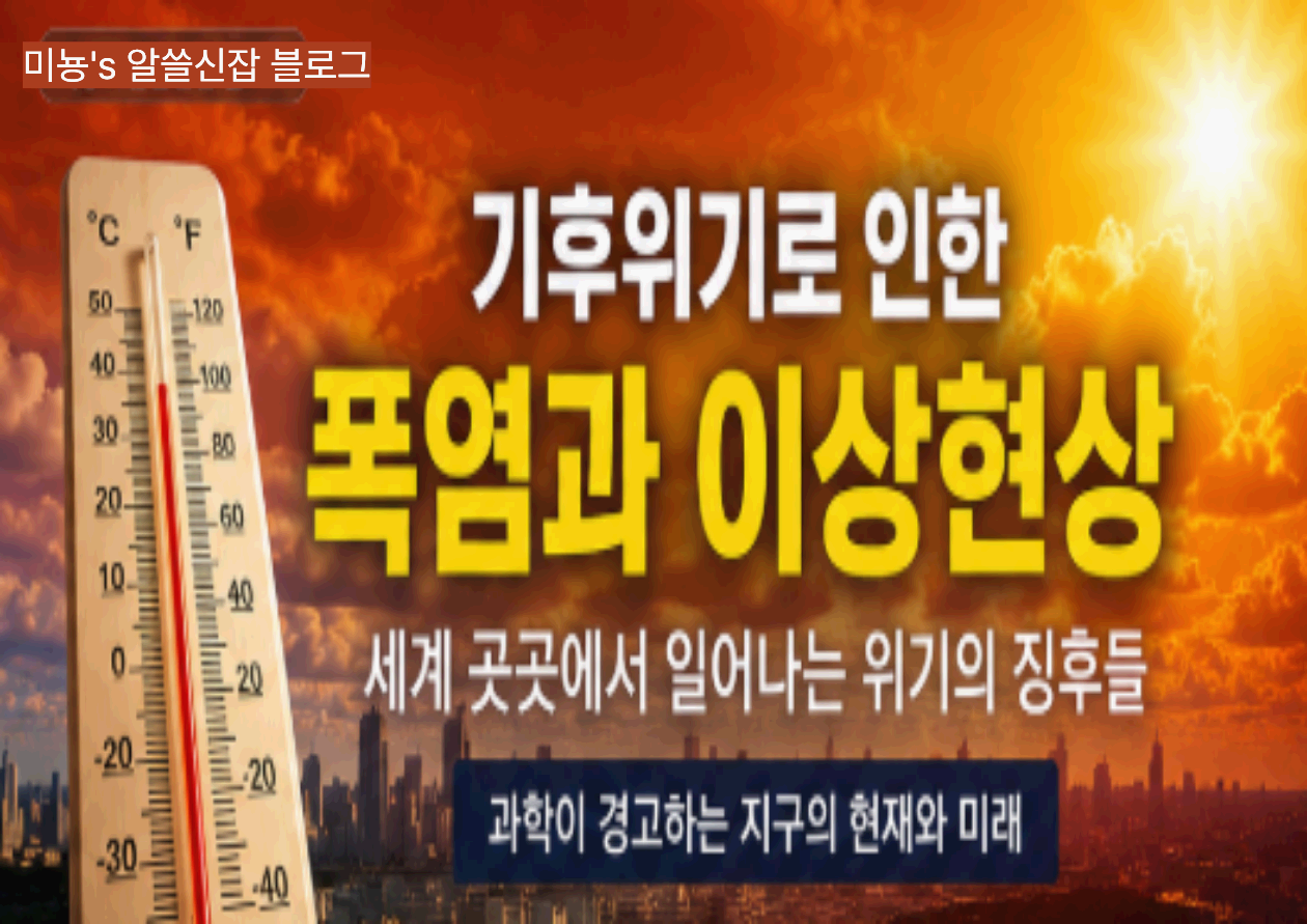 기후위기로 인한 폭염과 이상 현상｜세계 곳곳에서 나타나는 위기의 징후
