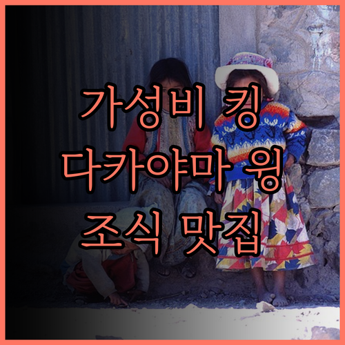 다카야마 호텔 윙, 가성비 최고! 쾌