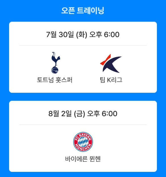 토트넘뮌헨