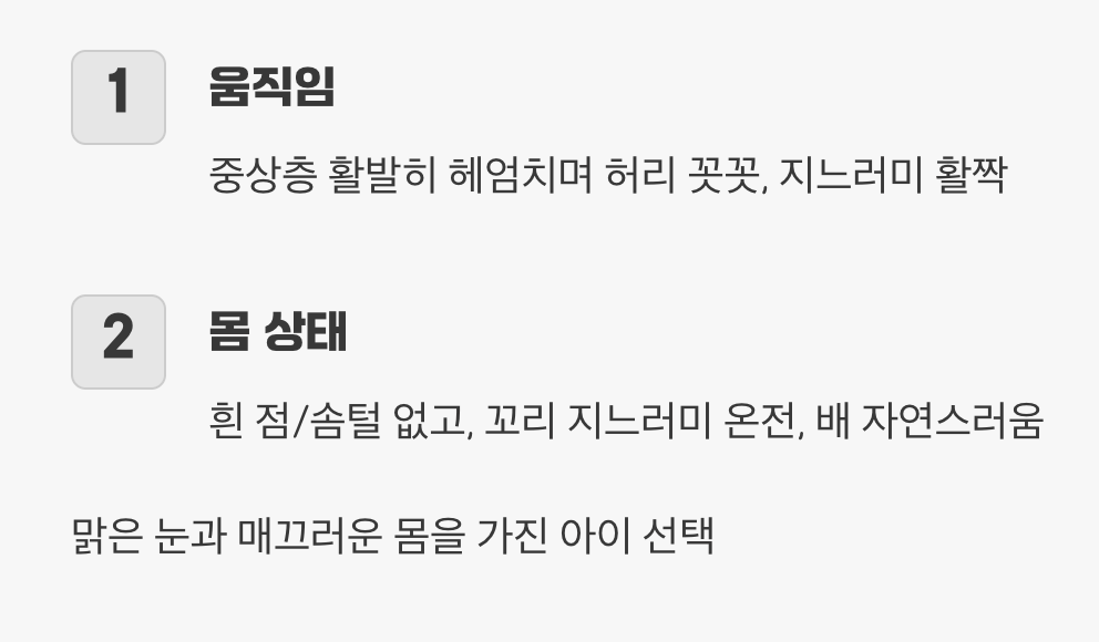 건강한 구피를 알아보는 눈