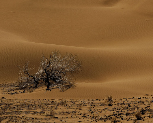 서울시 중랑구&amp;#44; 중구&amp;#44; 용산구&amp;#44; 동작구&amp;#44; 영등포구 무더위 쉼터