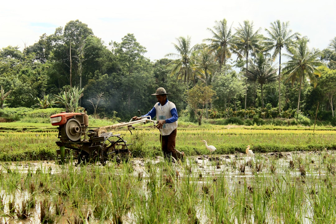 Farmers