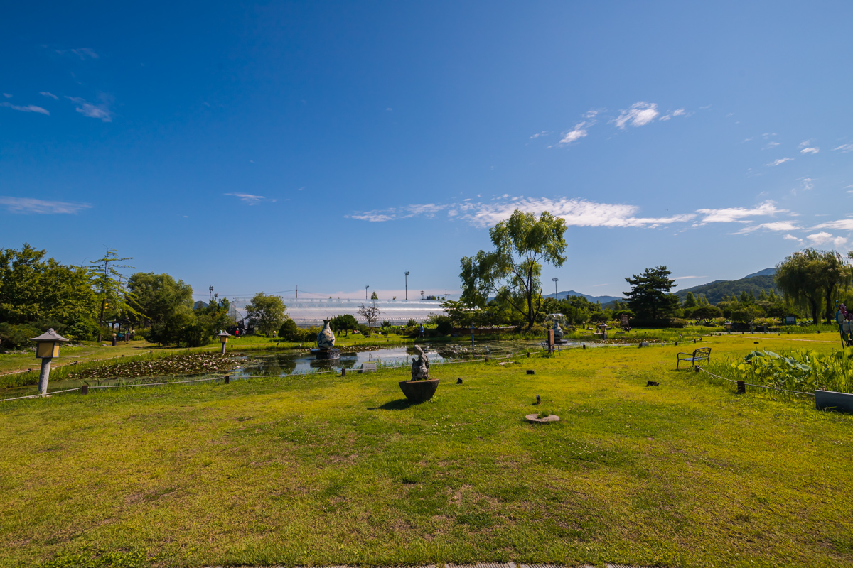 열대 수련 정원