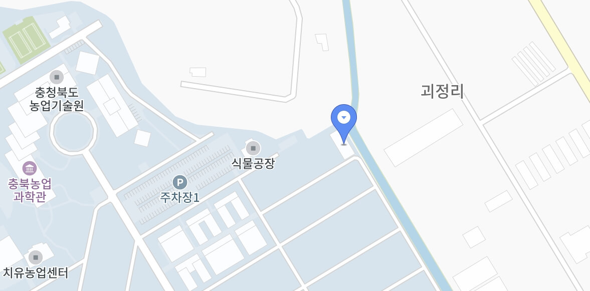 반딧불이 곤충축제