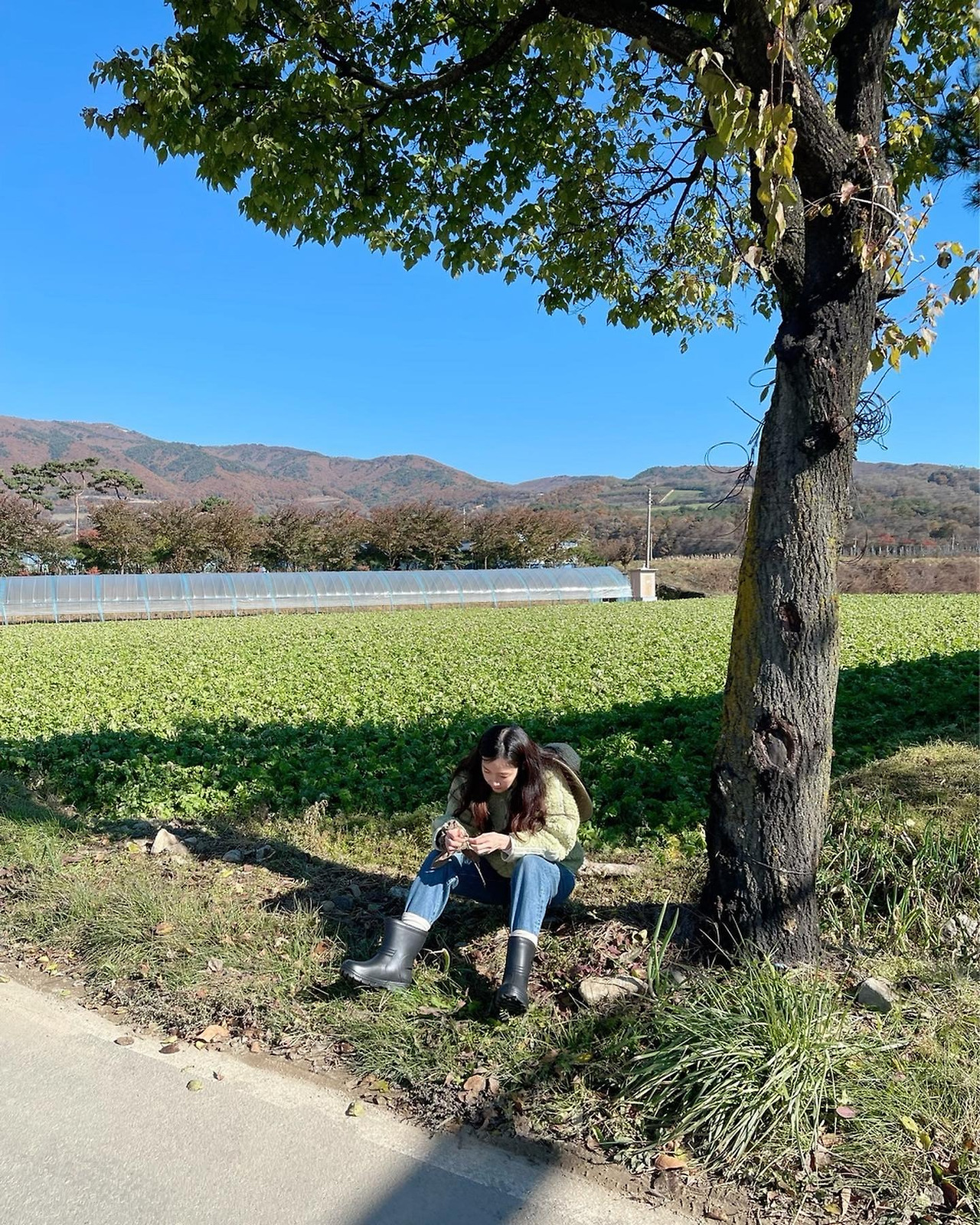 최지우 작품 활동