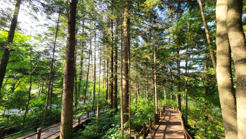 광릉숲길 주요 코스