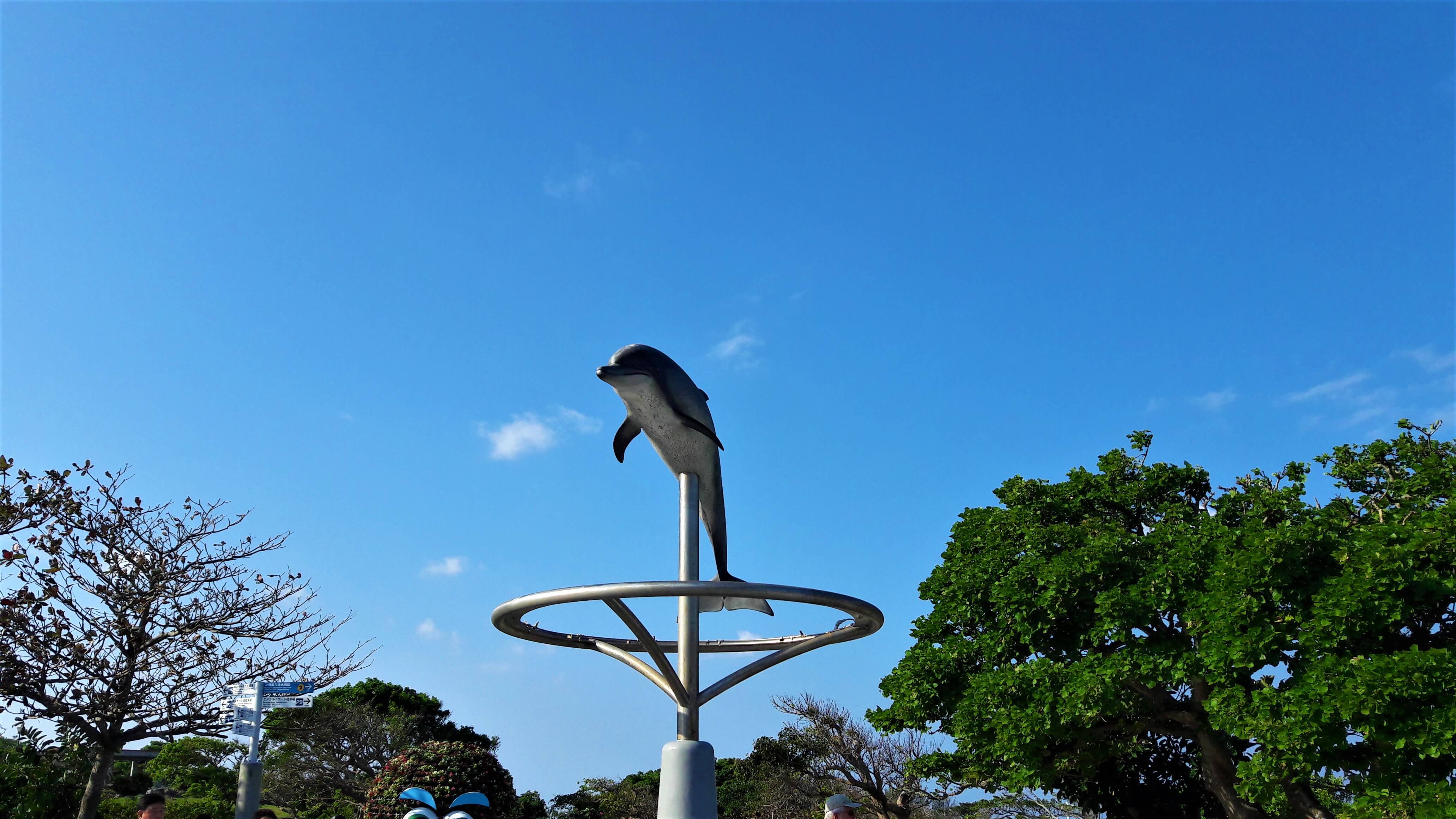 츄라우미 수족관