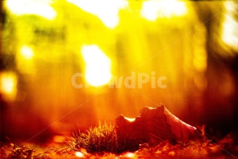 귀뚜라미 보일러 온도조절기 사용법 및 유의사항