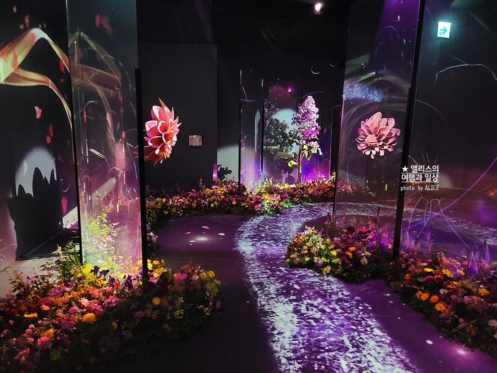 플라워바이네이키드 홍대 놀거리 입장료 23% 할인예매방법, 즐기는 꿀팁 네가지