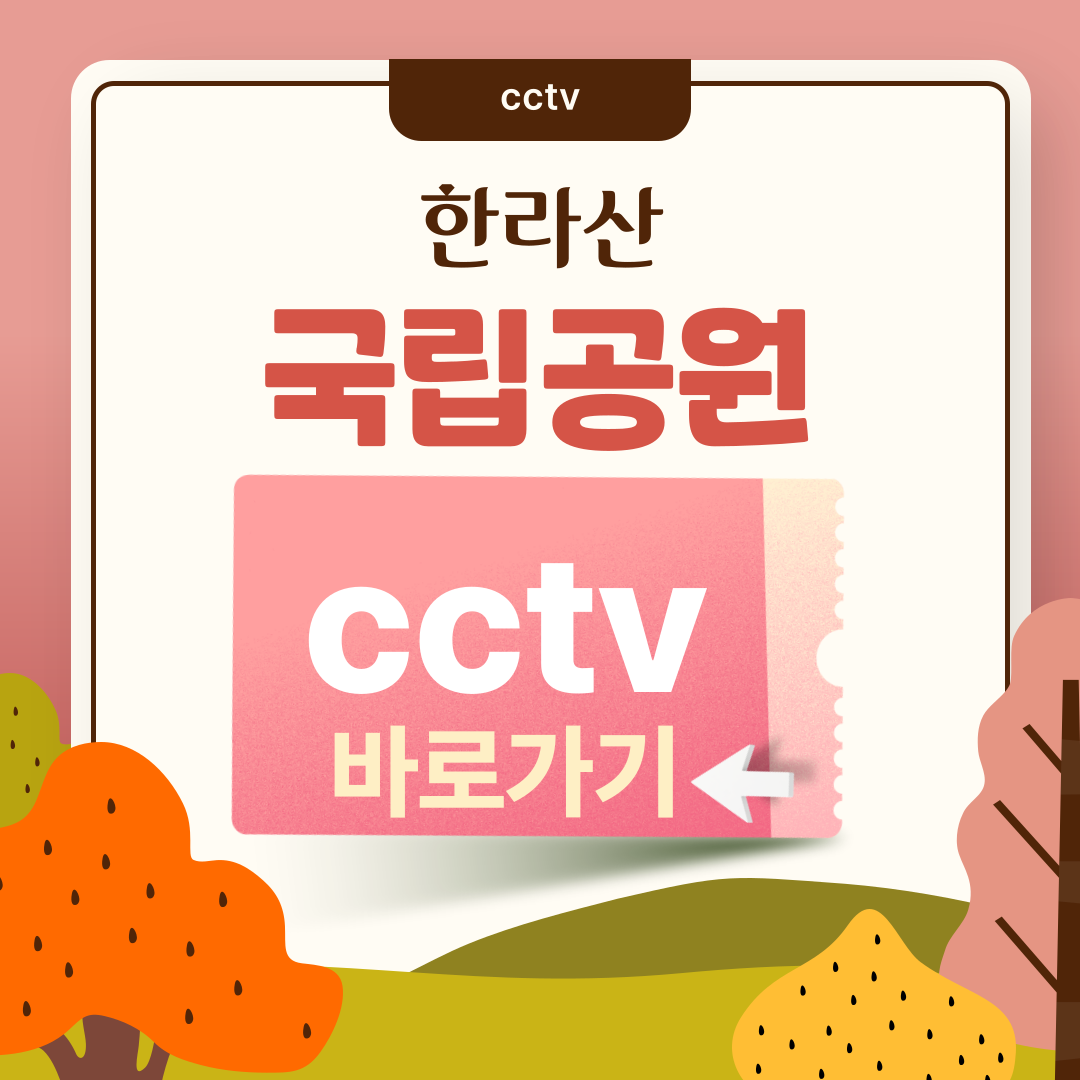 한라산 국립공원 실시간 cctv 확인하는 방법