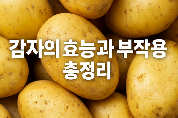 감자의 효능과 부작용 및 주의사항