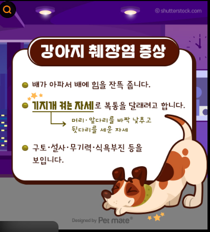 "강아지 췌장염예방"에 좋은 식재료부터 ~회복기 식단까지