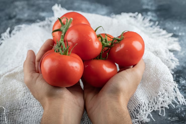 토마토 효능·부작용·보관법