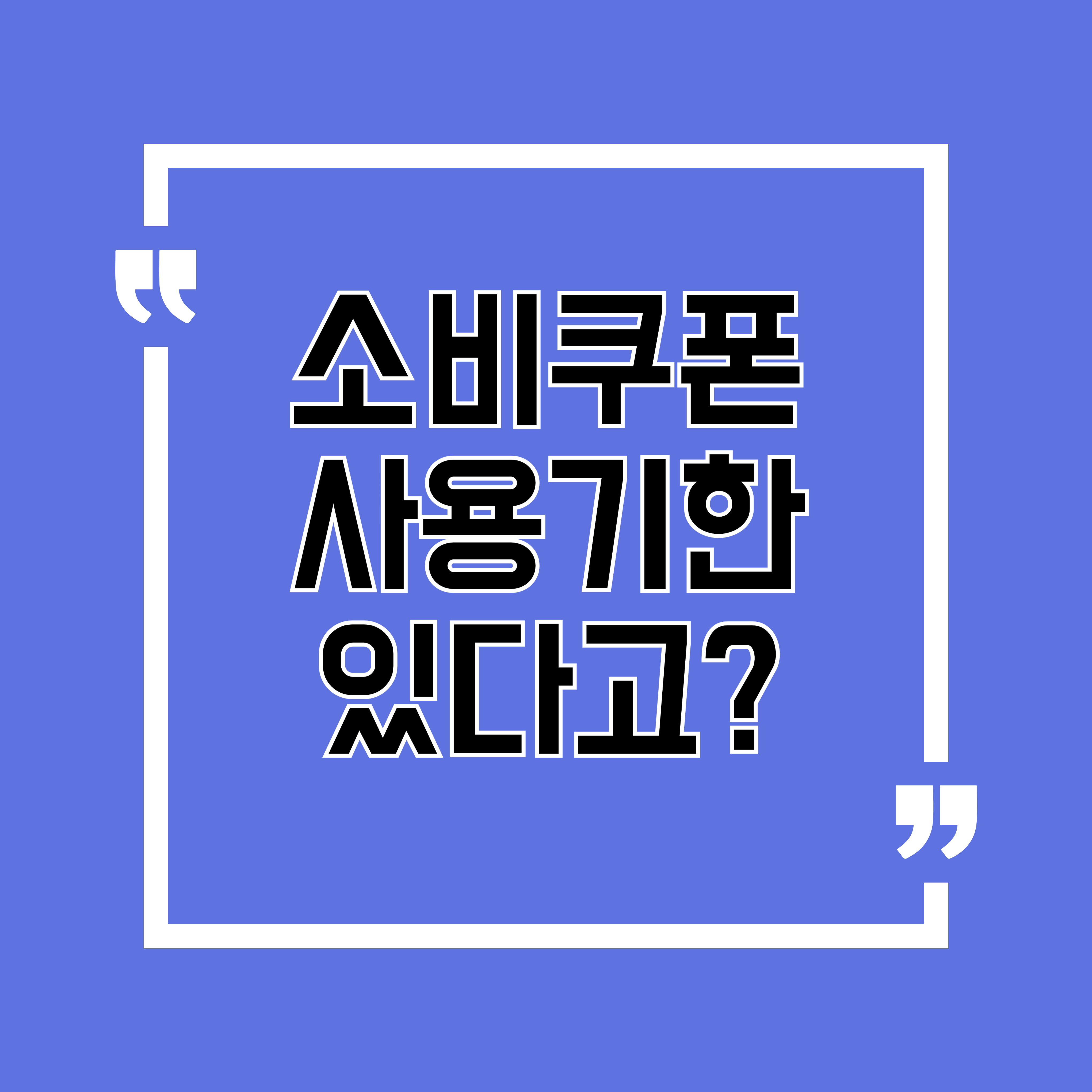 소비쿠폰 사용기한에 관해서
