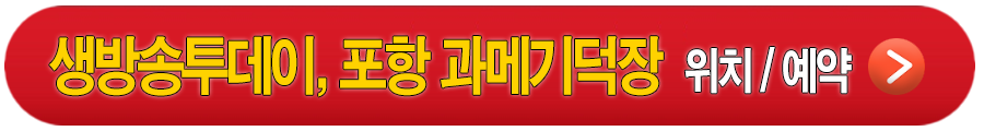 생방송투데이 포항 과메기덕장 일출과메기덕장 안내