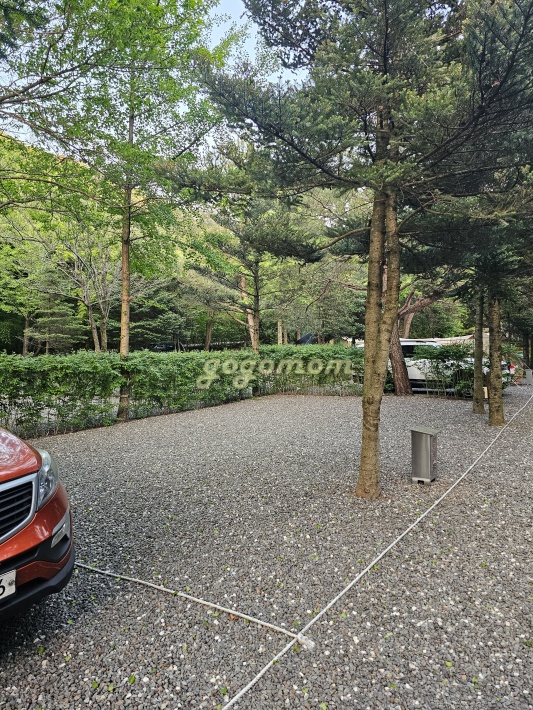 모야의숲 사이트