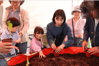 홍천 산나물 축제