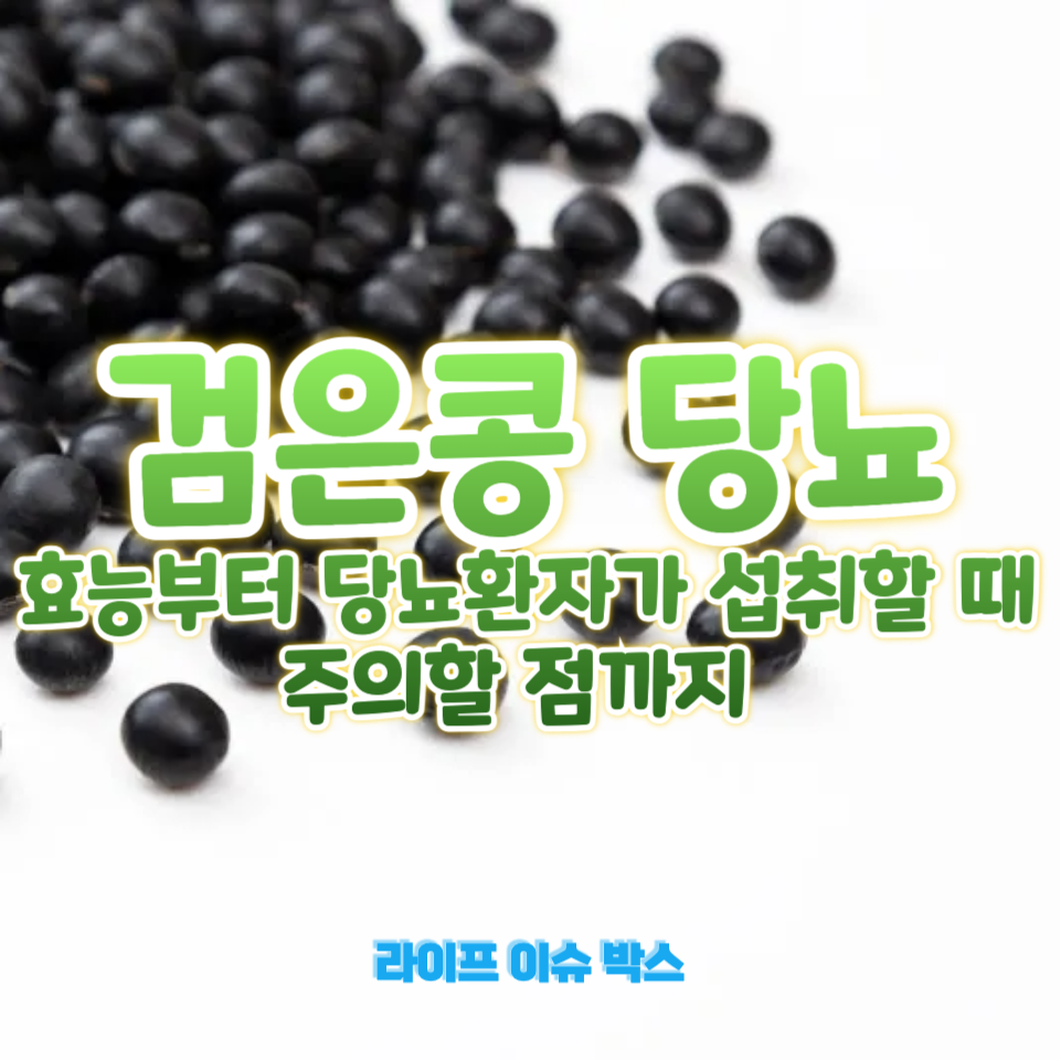 검은콩 당뇨