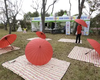 함평 국화축제_20