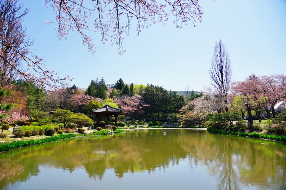 벚꽃명소