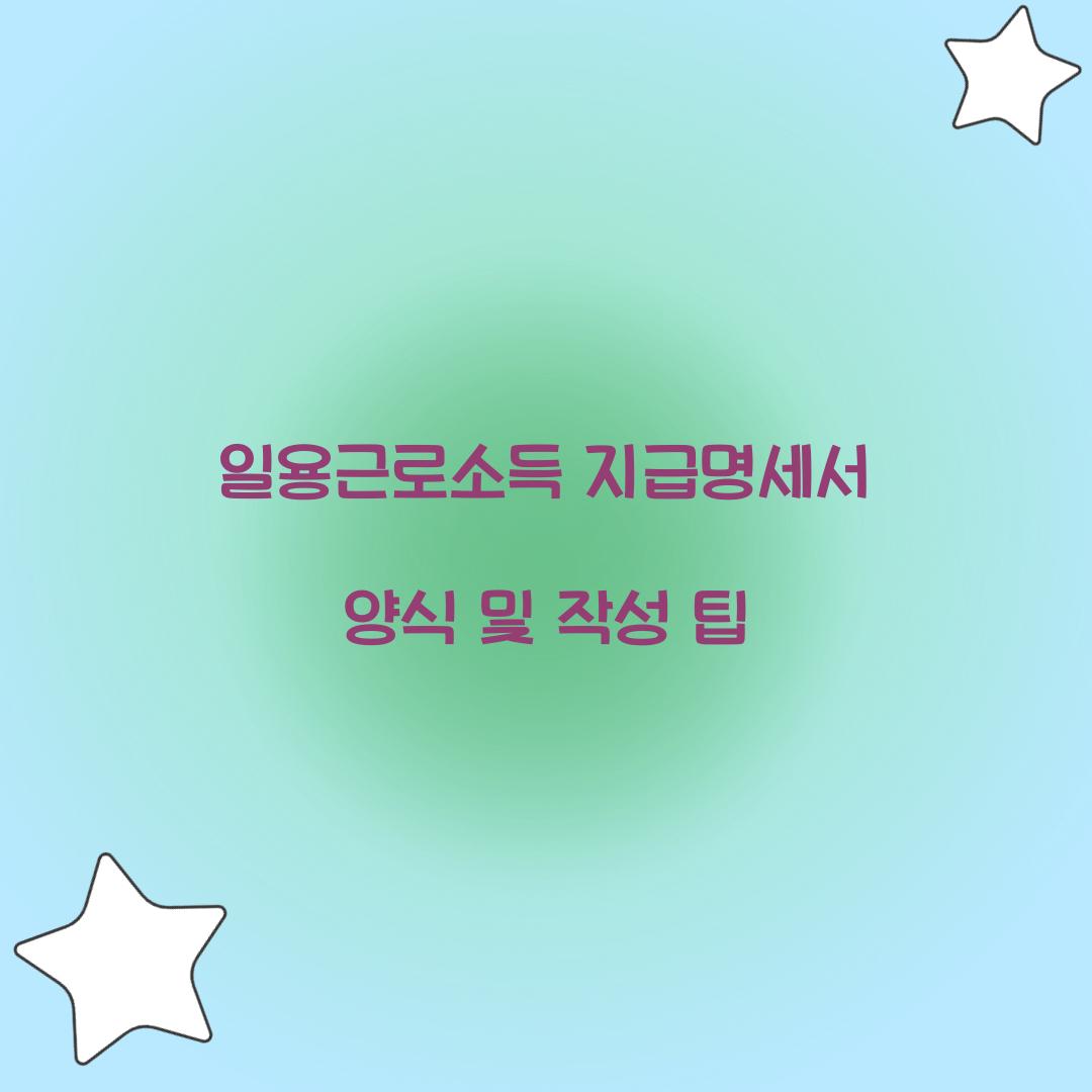 일용근로소득 지급명세서 양식