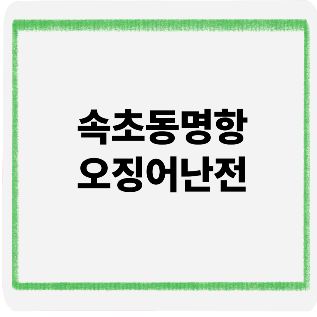 속초동명항오징어난전