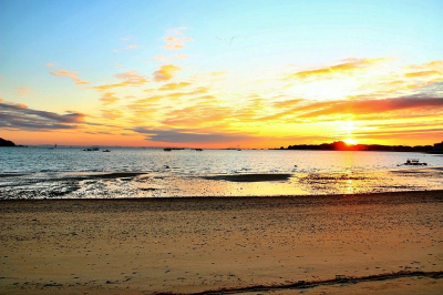 충남 겨울 명소 추천, 연말 분위기 가득한 빛·바다·성당 명소 4곳