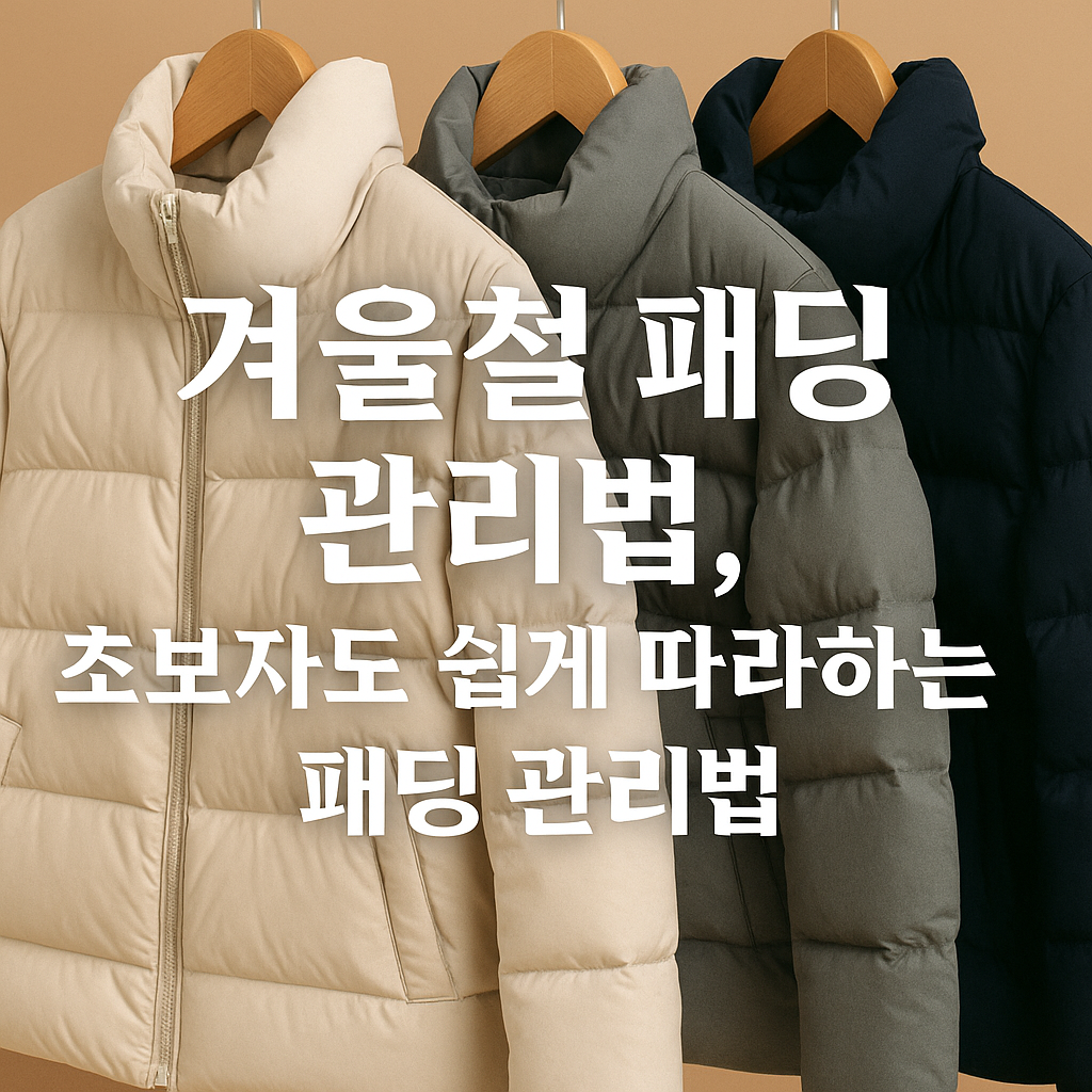 패딩 관리 - 사진