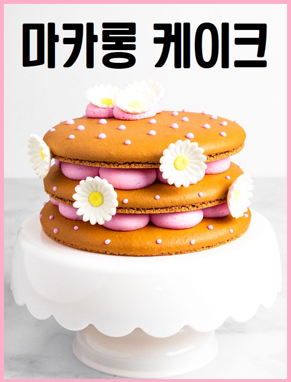 마카롱 케이크