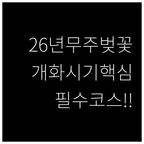 2026년 무주 벚꽃 개화 시기 및 ..