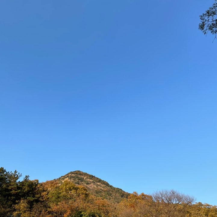 서울대 관악수목원가는법