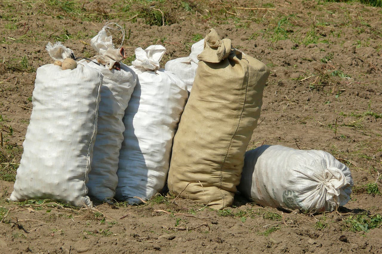 지속 가능한 섬유 공급망: 투명성과 책임의 중요성