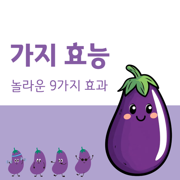 가지 효능 놀라운 9가지 효과 완벽정리