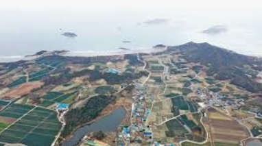 비금도