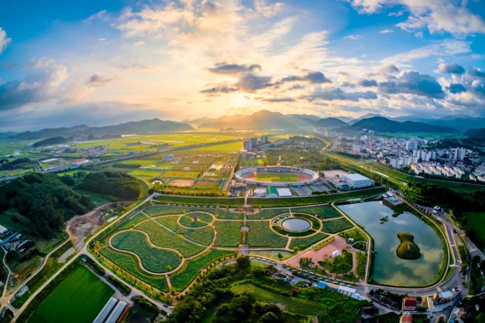 강주 해바라기 축제