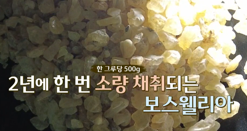 보스웰리아