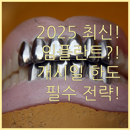 2025년 삼성화재 치아보험 임플란트..
